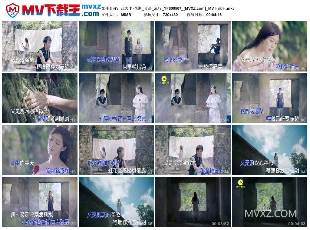 江志丰-花期_台语_流行_YF800567